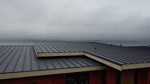 Best Green or Eco-Friendly Roofing Solutions  in Effort, PA